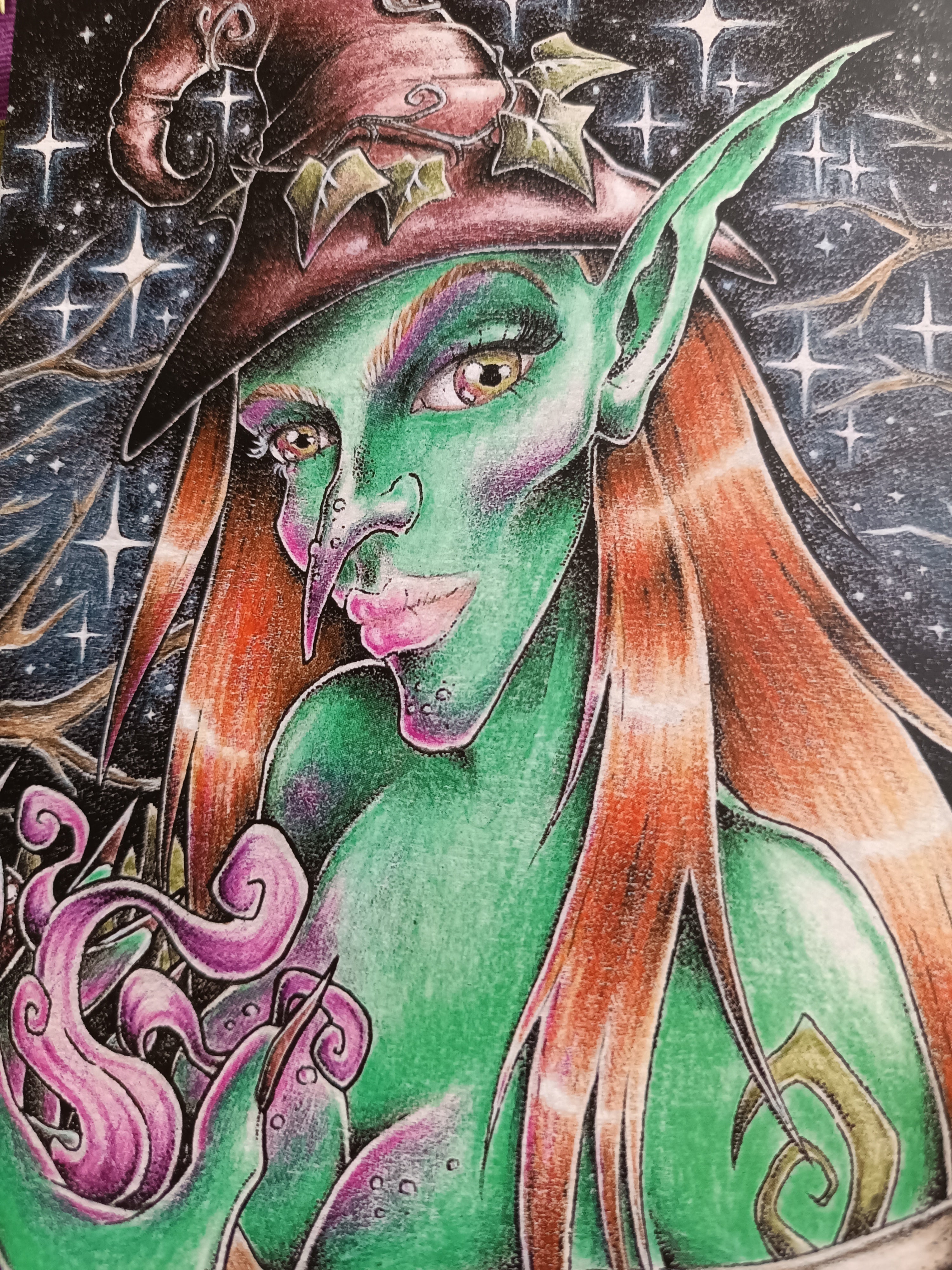A5 card VERTE SORCIERE
