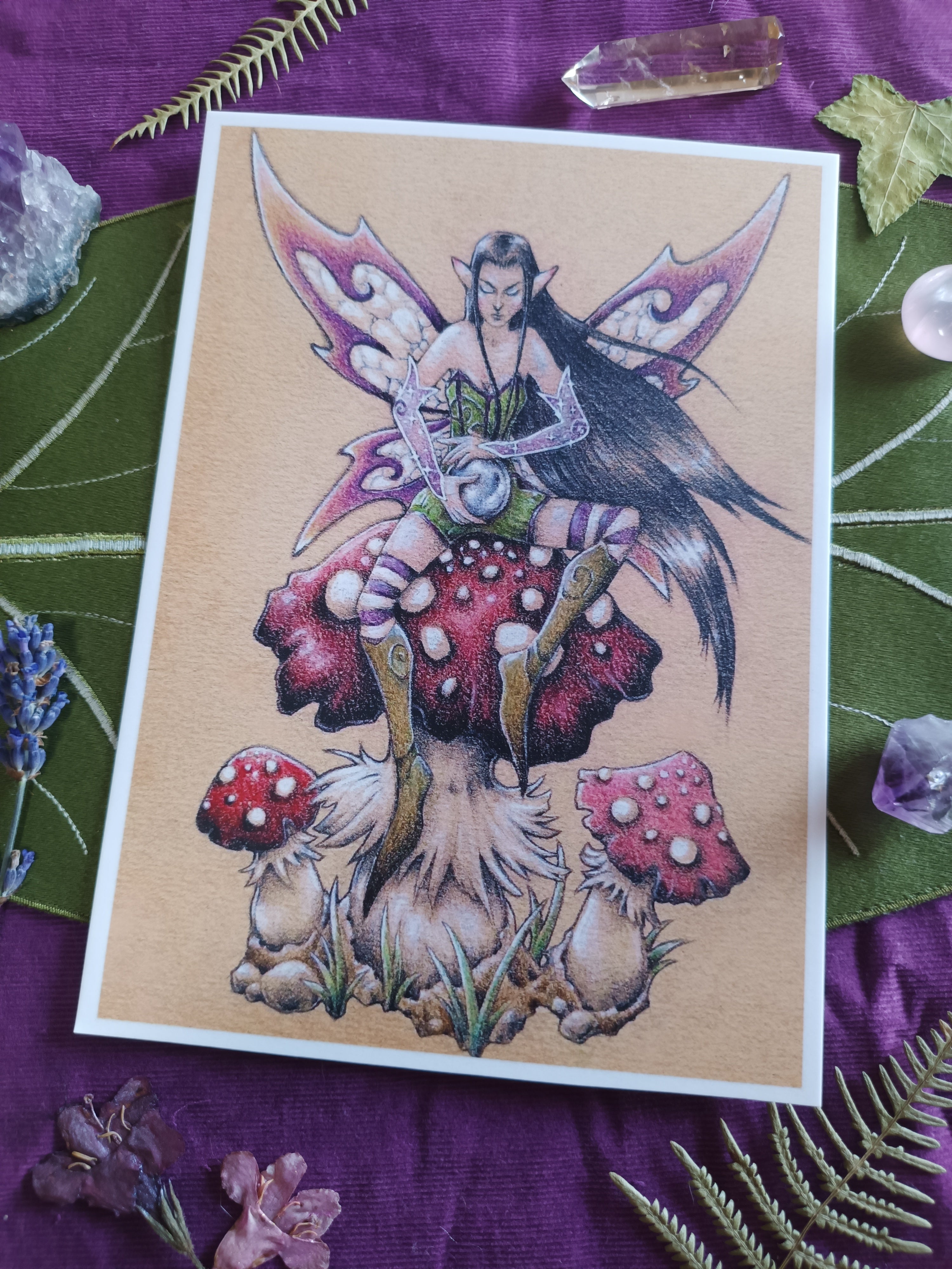 A5 card VOYANCE ET CHAMPIGNONS