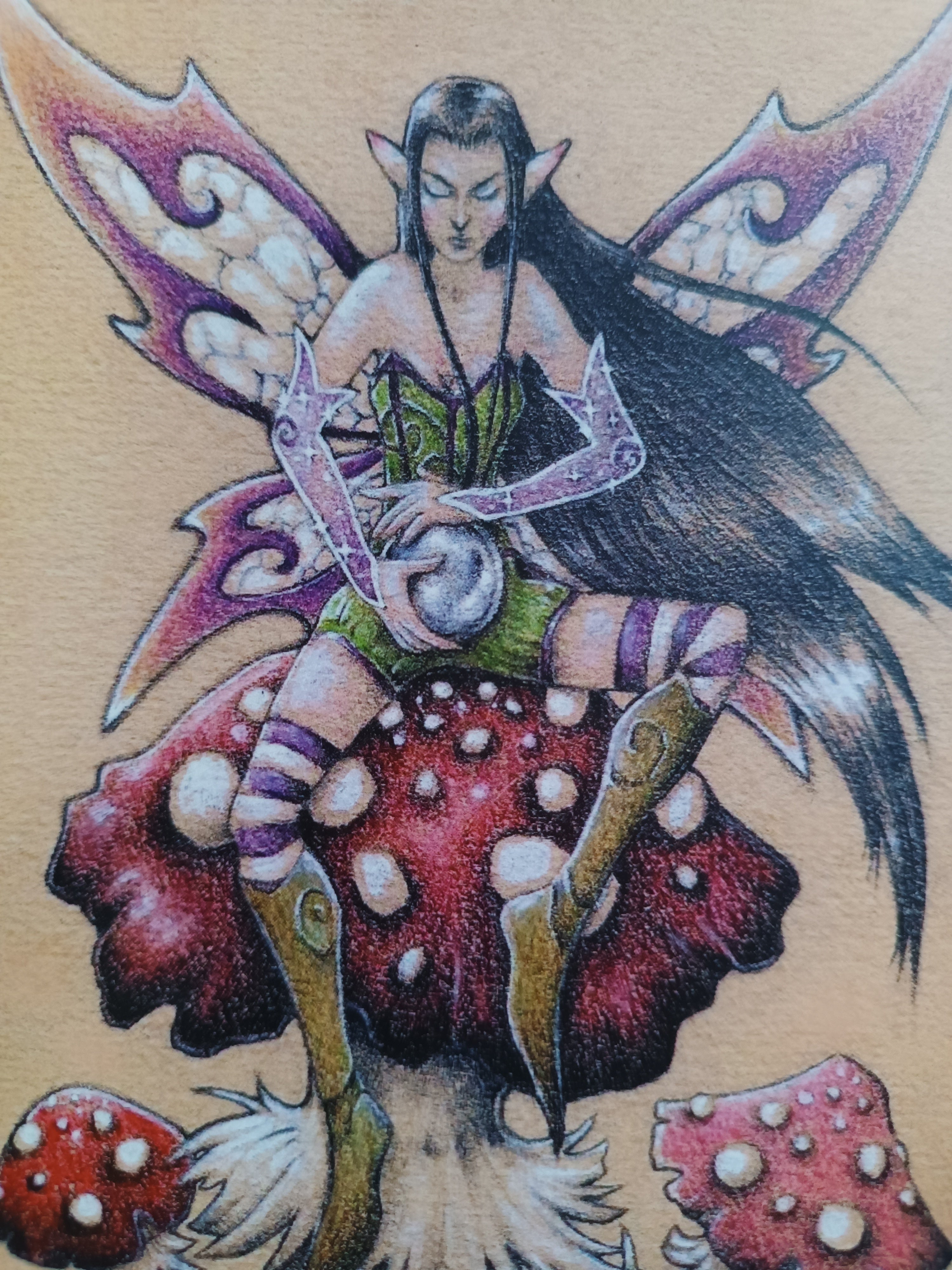 A5 card VOYANCE ET CHAMPIGNONS
