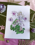 Large card FEE DES CYCLAMENS