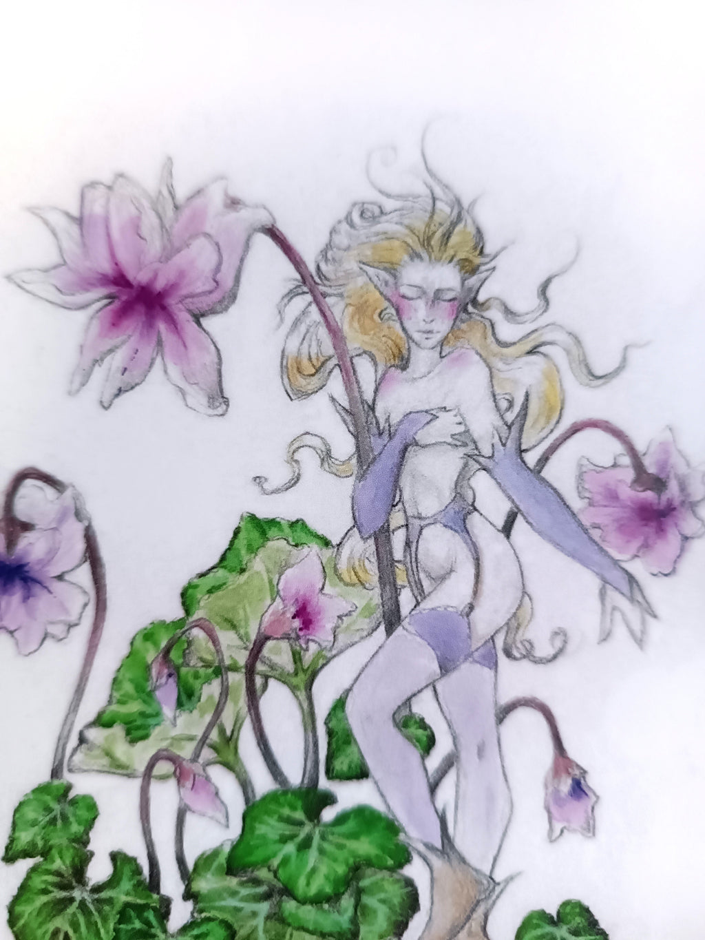 Large card FEE DES CYCLAMENS