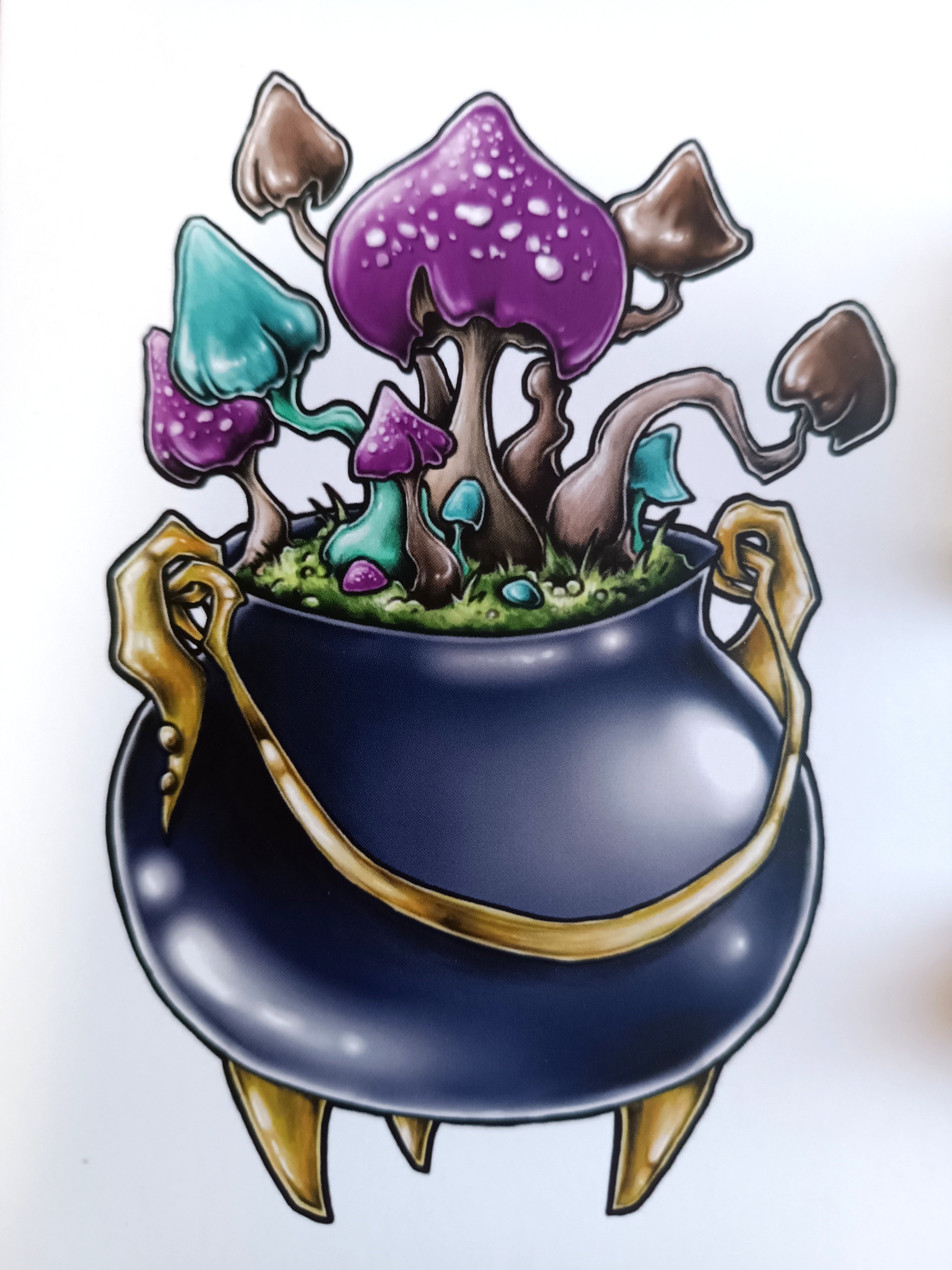 Large card CHAUDRON ET CHAMPIGNONS